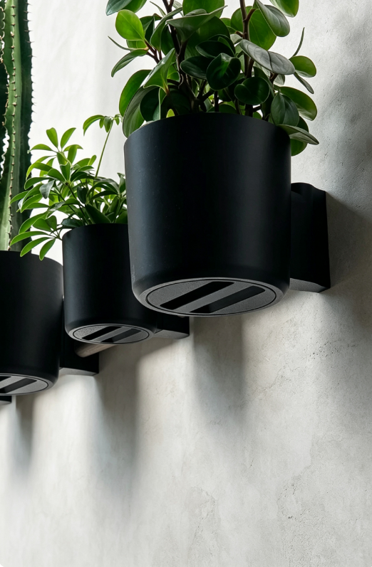 Modular Wall-Mounted Plant Display with Sliding Accessories